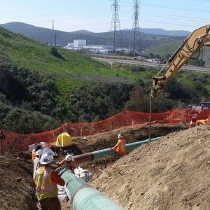 Meet your Posher, Donny